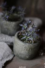 Sobere bloempot S Sobere bloempot S, Huis en Inrichting, Woonaccessoires | Overige, Www.jufbrocante.nl, Www.jufbrocante.nl, Nieuw