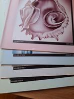 Vita marina schelpen tijdschrift grote stapel, Ophalen of Verzenden