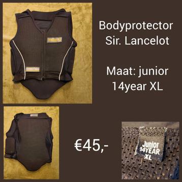 Bodyprotector  beschikbaar voor biedingen