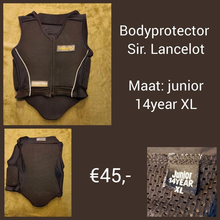 Bodyprotector, Dieren en Toebehoren, Paardrijkleding, Overige soorten, Ophalen of Verzenden