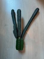Kunst cactus, Buiten, Gebruikt, Ophalen of Verzenden