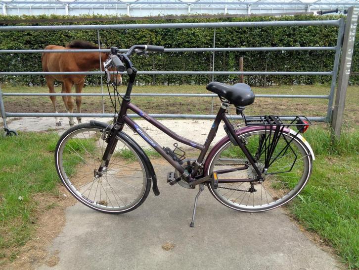 Gazelle Aristo dames toerfiets -8 versn./57 frame / 28 inch-, Fietsen en Brommers, Fietsen | Dames | Sportfietsen en Toerfietsen