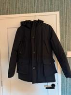 NIEUW - Airforce Classic Parka Ice -  Donkerblauw - Maat14, Nieuw, Ophalen of Verzenden, Airforce, Jongen