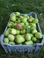 biologische appels, peren en kweepeer, Diversen, Levensmiddelen, Ophalen