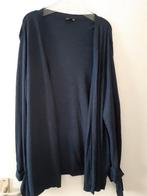 Loshangend vest, Ophalen of Verzenden, Zo goed als nieuw, Blauw, Trui of Vest