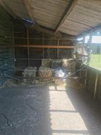 Paardenstalling aangeboden, Stalling, 1 paard of pony