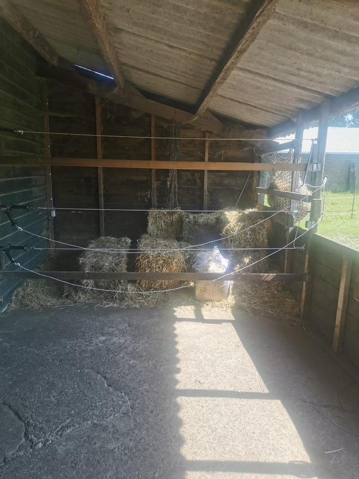 Paardenstalling aangeboden, Dieren en Toebehoren, Stalling en Weidegang, Stalling, 1 paard of pony