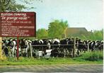 Friesland- -De grazige weide., Verzenden, 1980 tot heden, Gelopen, Friesland