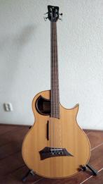 Warwick The Alien Acoustic basgitaar met Fishman Prefix Plus, Muziek en Instrumenten, Snaarinstrumenten | Gitaren | Bas, Ophalen