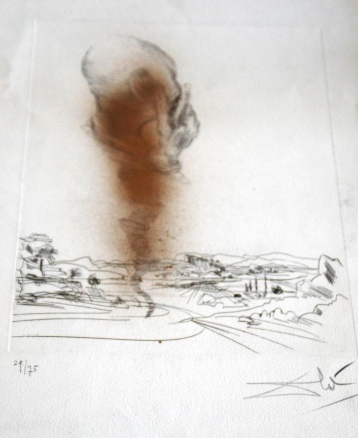 Zeer mooi werk van Salvador Dali, Antiek en Kunst, Kunst | Schilderijen | Modern, Ophalen of Verzenden