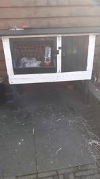 Konijnen incl. Hok en Toebehoren, Vrouwelijk, Middelgroot, 0 tot 2 jaar