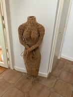 Grote rieten paspop, Ophalen