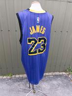 Origineel Nike LA Lakers LeBron James shirt. 23, Ophalen of Verzenden, Zo goed als nieuw, Kleding