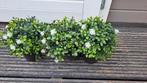 3 STUKS UV KUNSTPLANTEN VOOR BUITEN BUXUS VAN EASYPLANTS, Ophalen of Verzenden, Zomer, Overige soorten, Volle zon