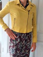 Mt S gevoerd jasje G-Maxx geelgroen, Geel, Ophalen of Verzenden, Zo goed als nieuw, Maat 36 (S)