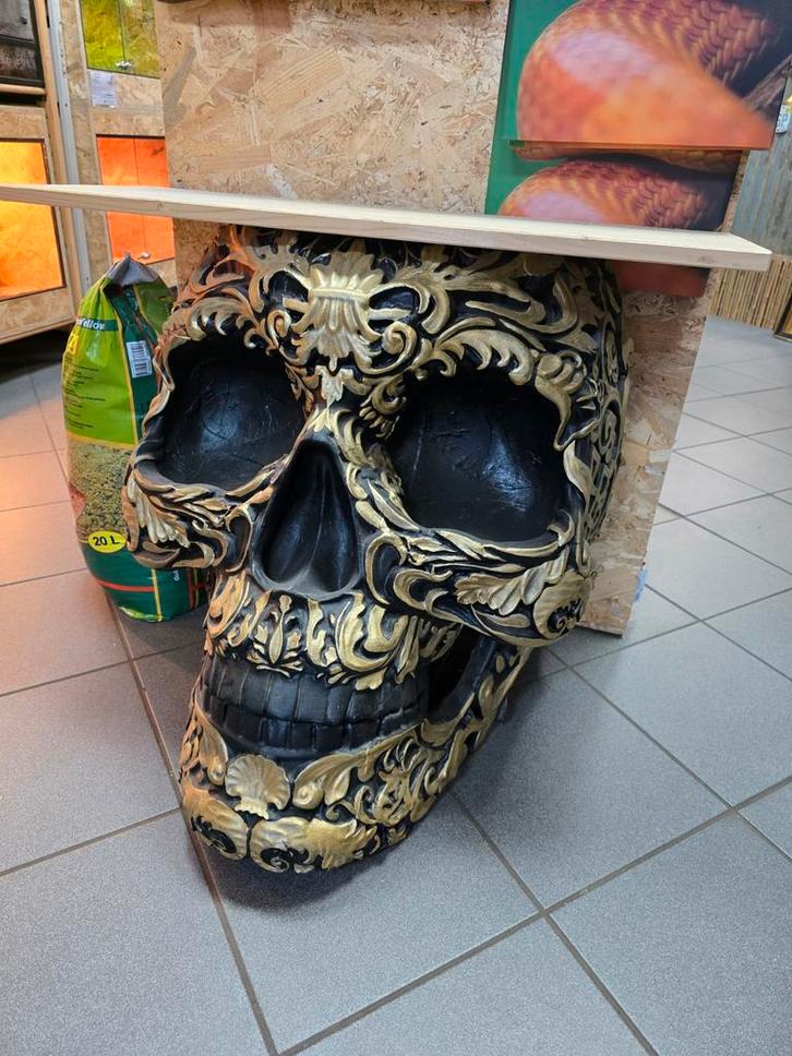 Skull sitetable uniek en groot, Huis en Inrichting, Tafels | Sidetables, Ophalen