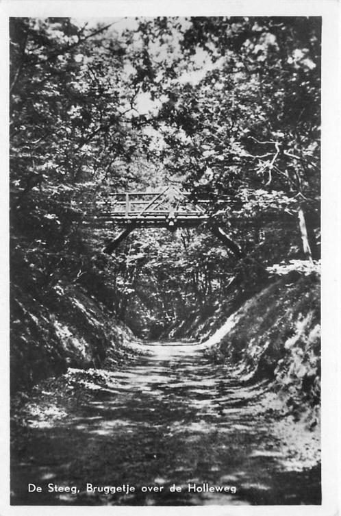 (387-232-013) De Steeg Bruggetje over de Holleweg, Verzamelen, Ansichtkaarten | Nederland, Gelderland, Verzenden