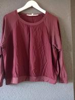 Vanillia Bordeaux Shirt Maat 36 (S), Ophalen of Verzenden, Zo goed als nieuw, Lange mouw, Maat 36 (S)