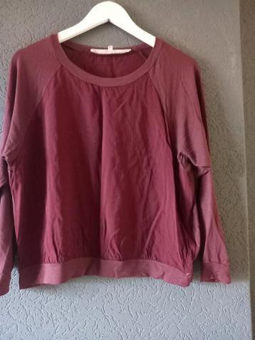 Vanillia Bordeaux Shirt Maat 36 (S) beschikbaar voor biedingen
