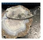 Antieke broche "Gondolier", zilver 800, markasieten, Ophalen of Verzenden, Zo goed als nieuw, Zilver, Zilver