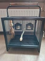 Nieuwe papegaaien (reis)kooi, Dieren en Toebehoren, Ophalen, Nieuw, Metaal, Vogelkooi