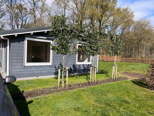 Ruime zorgwoning, Caravans en Kamperen, Stacaravans, tot en met 2, Ophalen