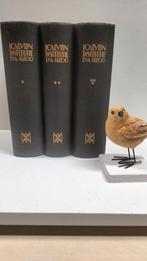 Calvijn, Johannes: Institutie (Sizoo), Ophalen of Verzenden, Gelezen, Christendom | Protestants