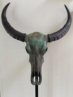 Skull, Ophalen of Verzenden, Zo goed als nieuw