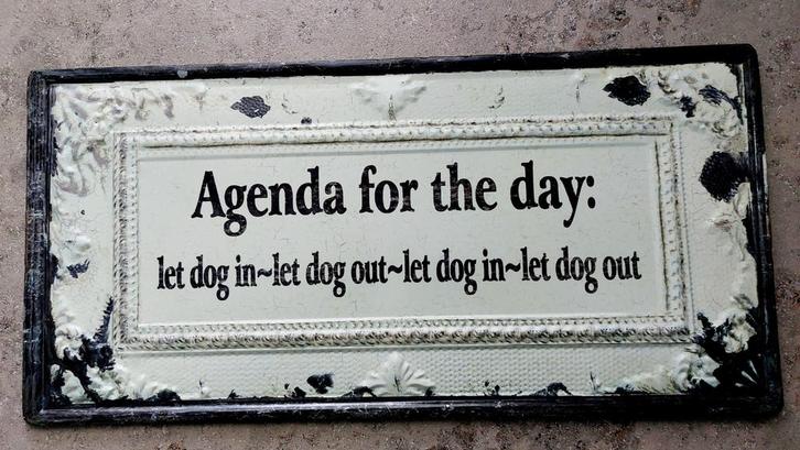 Grappig Wandbord - Agenda voor de Dag, Huis en Inrichting, Woonaccessoires | Wanddecoraties, Gebruikt, Ophalen of Verzenden