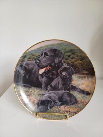 Wandbord Father's Pride and Joy  beschikbaar voor biedingen