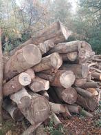 Stamhout  brandhout, Tuin en Terras, Haardhout, Ophalen