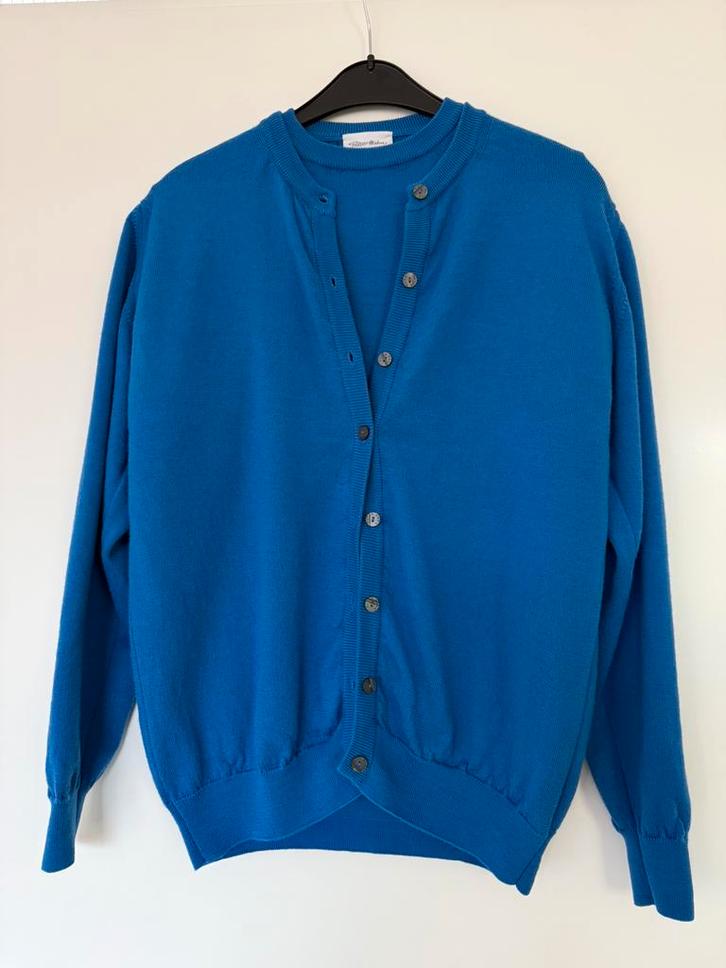Zgan Peter Hahn 100% wollen twinset Maat 38, Kleding | Dames, Truien en Vesten, Zo goed als nieuw, Maat 38/40 (M), Blauw, Ophalen of Verzenden
