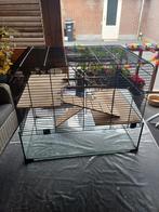 Knaagdierenkooi, Kooi, Zo goed als nieuw, 75 tot 110 cm, Ophalen