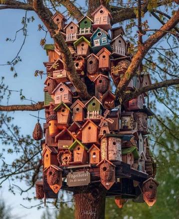 vogel hotel tijdens uw vakantie  altijd plek beschikbaar voor biedingen