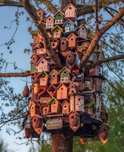 vogel hotel tijdens uw zomervakantie altijd plek, Dieren en Toebehoren, Vogels | Toebehoren, Nieuw, Zand en Verzorging, Ophalen of Verzenden