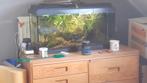 54 liter 60x30x30, Ophalen, Gebruikt, Gevuld zoetwateraquarium