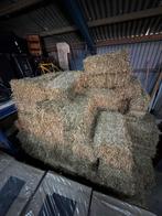 Kleine balen tarwestro (stooisel) moet weg, Weidegang, 4 paarden of pony's of meer