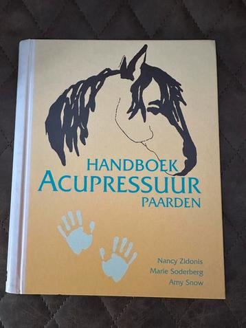 Acupressuur voor paarden, Zidonis beschikbaar voor biedingen