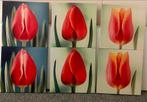 6 nieuwe tulpen  schilderen, Ophalen of Verzenden