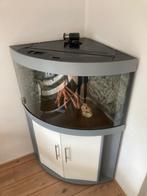 Hoek Aquarium compleet met kast, Ophalen, Gebruikt, Leeg aquarium