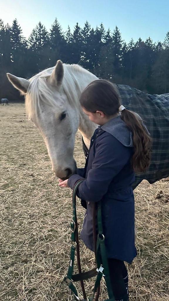 Bijrijder aangeboden! Verzorg/bijrijd pony gezocht, Dieren en Toebehoren, Paarden en Pony's | Verzorgingsproducten, Zo goed als nieuw