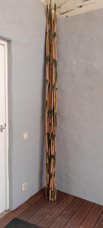 Bamboe stokken Ø 1-1,5cm   ca 250 cm lang beschikbaar voor biedingen