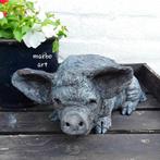 beeld kune varken, Antiek en Kunst, Ophalen of Verzenden