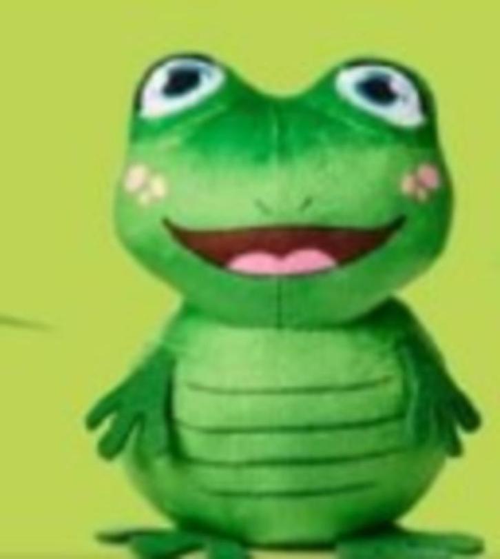 Kikker Achtertuin mini's, Kinderen en Baby's, Speelgoed | Knuffels en Pluche, Zo goed als nieuw, Overige typen, Ophalen of Verzenden