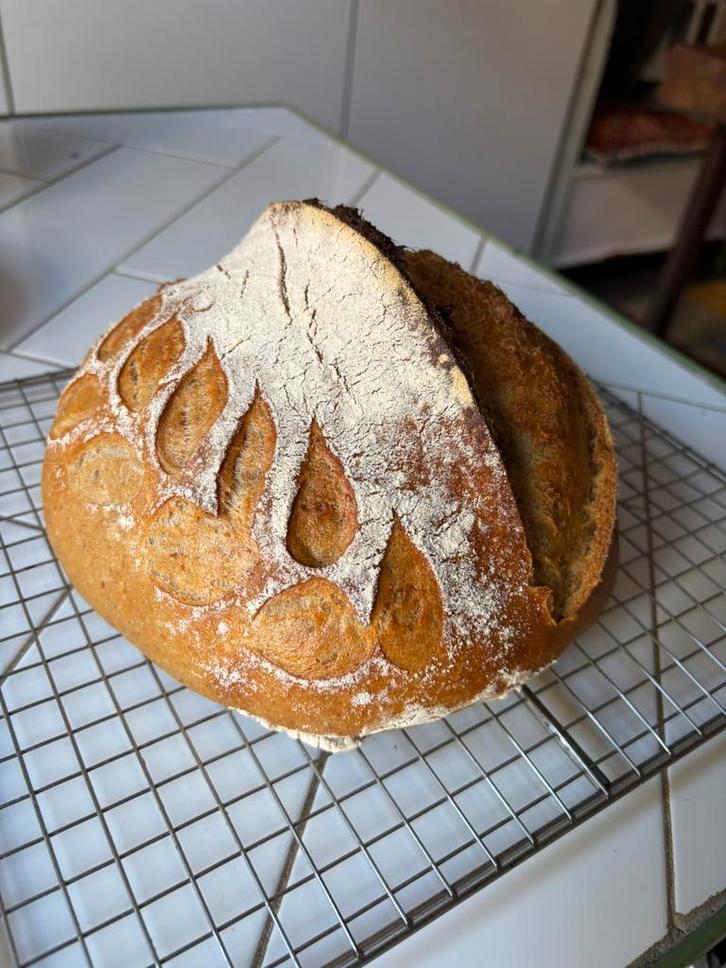 Vers gebakken biologisch zuurdesembrood, Diversen, Levensmiddelen, Ophalen of Verzenden