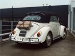 Volkswagen Kever Cabriolet 1500 (bj 1968), Cabriolet, Volkswagen, Wit, Bedrijf