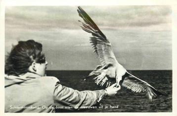 (388-479-005) Schiermonnikoog beschikbaar voor biedingen