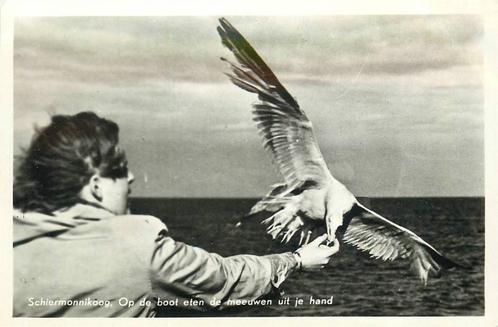 (388-479-005) Schiermonnikoog, Verzamelen, Ansichtkaarten | Nederland, Friesland, Verzenden