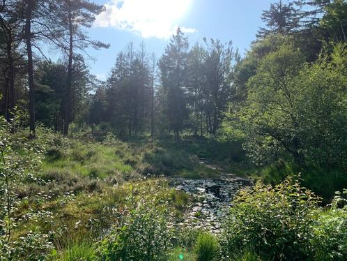 Gezocht: Wandelmaatje, Contacten en Berichten, Sport en Hobby oproepen