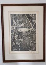 Ets Rian Doedijns vogel op nest, Antiek en Kunst, Kunst | Etsen en Gravures, Ophalen of Verzenden